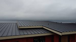 Best Metal Roofing Installation  in Summitville, IN